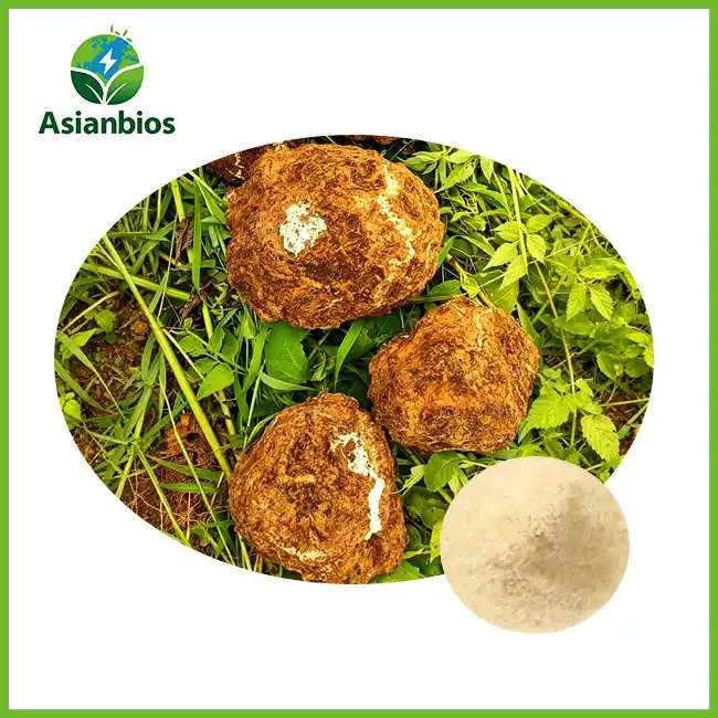 Poria Powder